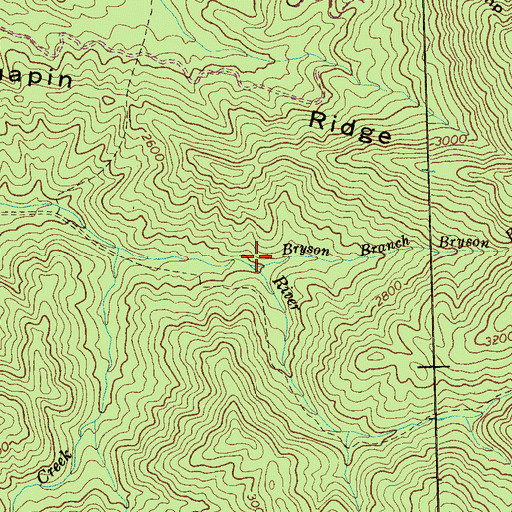 Topographic Map of Bryson Branch, TN