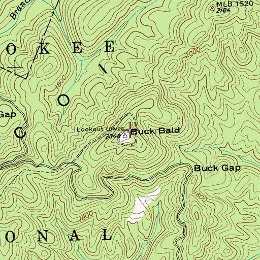 Topographic Map of Buck Bald, TN