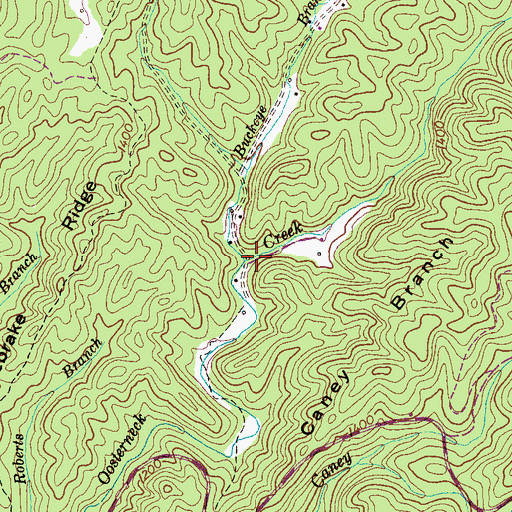 Topographic Map of Buckeye Branch, TN