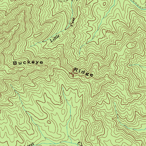 Topographic Map of Buckeye Ridge, TN