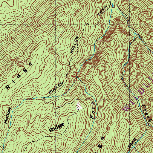 Topographic Map of Bullen Hollow, TN