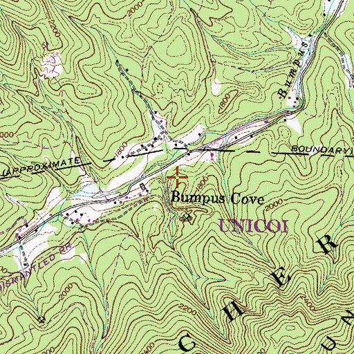 Topographic Map of Bumpus Cove, TN