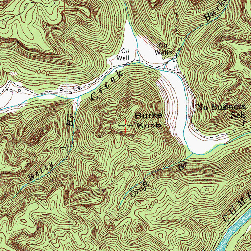 Topographic Map of Burke Knob, TN