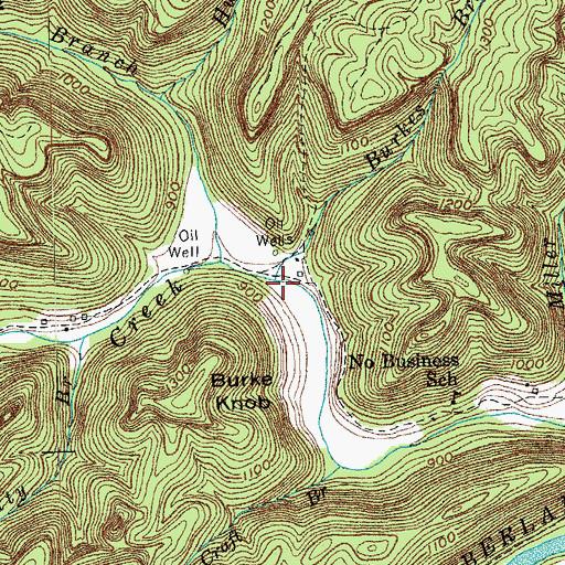 Topographic Map of Burkes Branch, TN