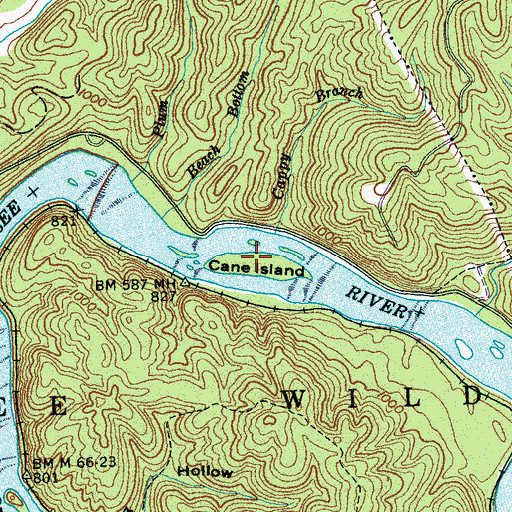 Topographic Map of Cane Island, TN