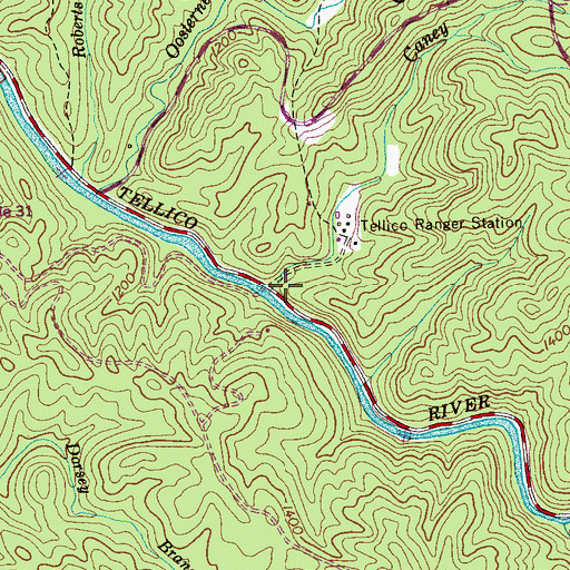 Topographic Map of Caney Branch, TN
