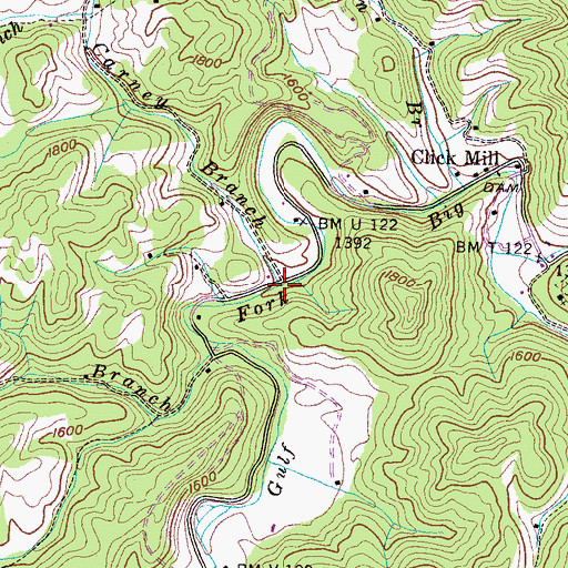 Topographic Map of Carney Branch, TN