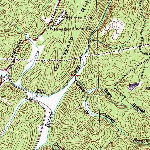 Topographic Map of Carney Branch, TN