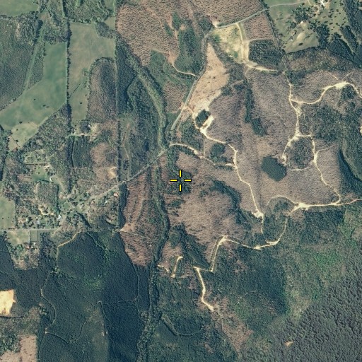 Aerial/Satellite Image of Cave Spring, TN