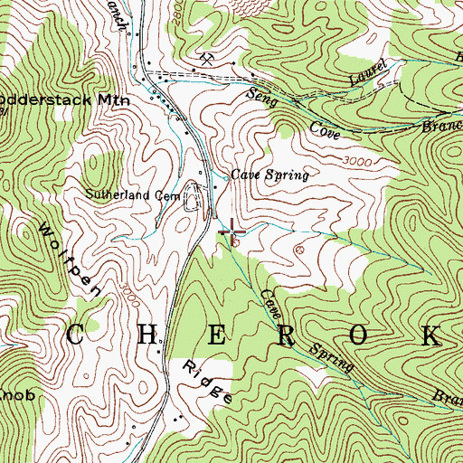 Topographic Map of Cave Spring Branch, TN