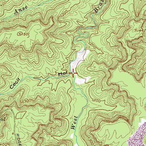 Topographic Map of Cecil Hollow, TN