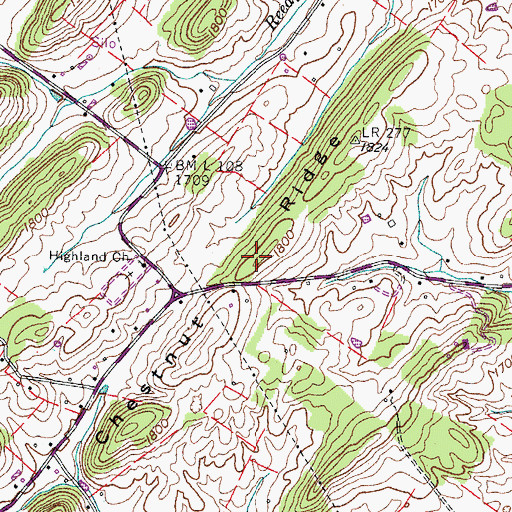 Topographic Map of Chestnut Ridge, TN