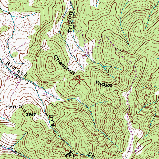 Topographic Map of Chestnut Ridge, TN