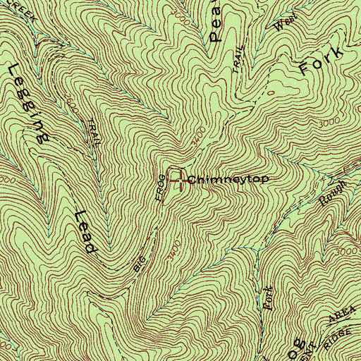 Topographic Map of Chimneytop, TN