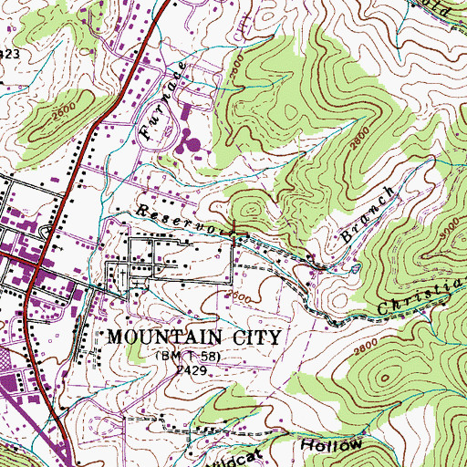 Topographic Map of Christian Branch, TN