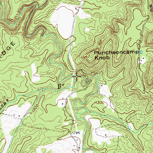 Topographic Map of Clear Branch, TN