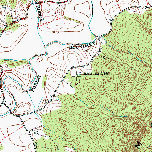 Topographic Map of Conasauga Cemetery, TN