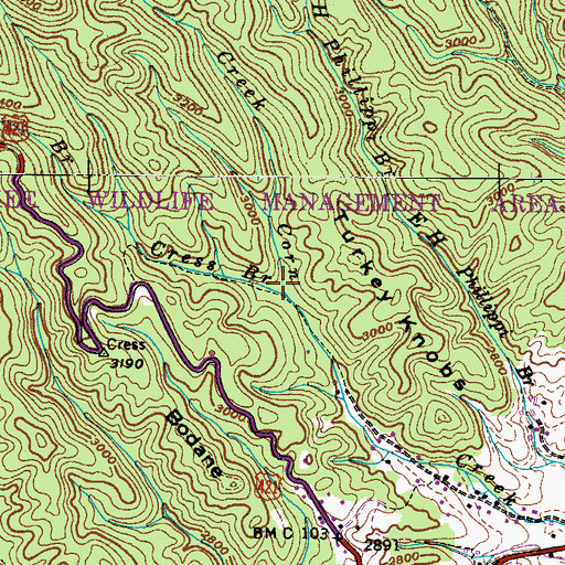 Topographic Map of Cress Branch, TN