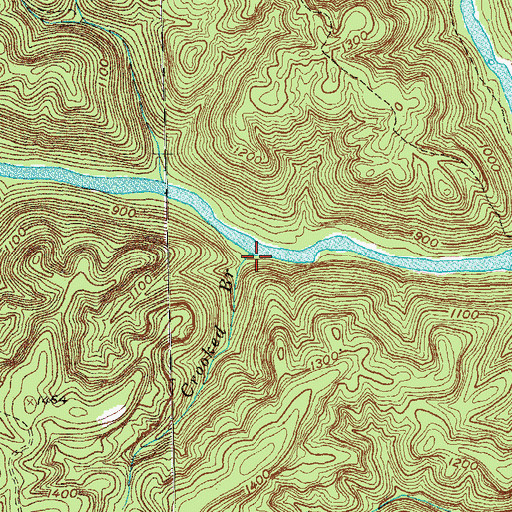 Topographic Map of Crooked Branch, TN