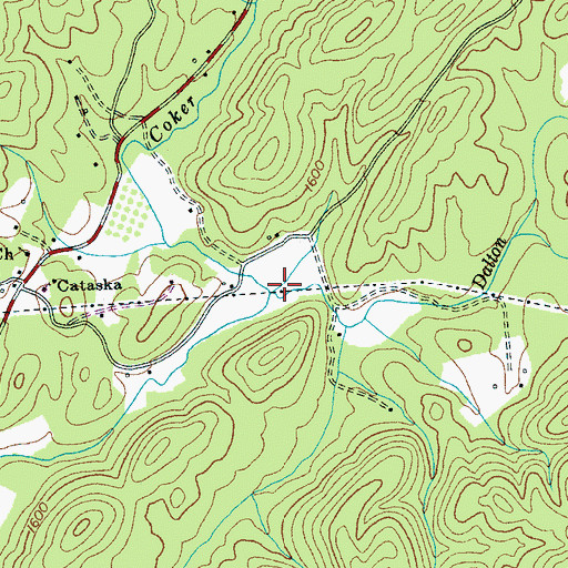 Topographic Map of Dalton Branch, TN