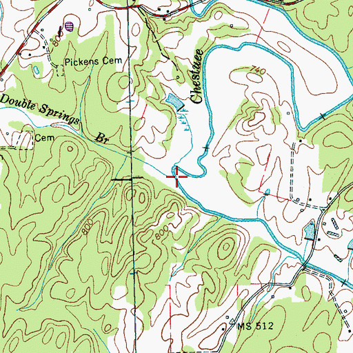 Topographic Map of Double Springs Branch, TN