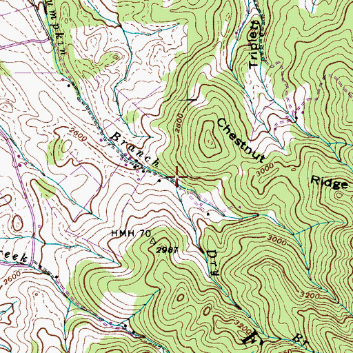 Topographic Map of Dry Branch, TN
