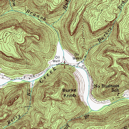 Topographic Map of Dry Branch, TN