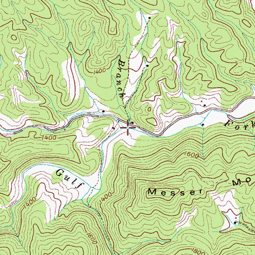 Topographic Map of Flat Branch, TN