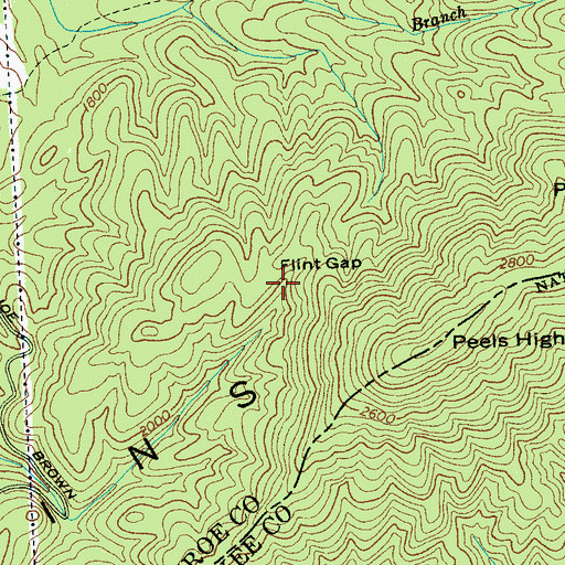 Topographic Map of Flint Gap, TN