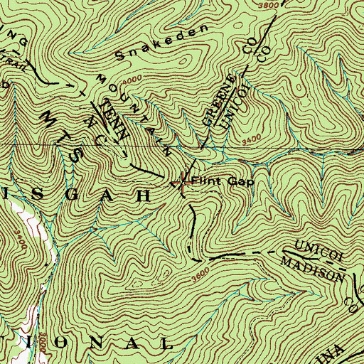 Topographic Map of Flint Gap, TN