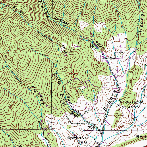 Topographic Map of Flint Mill Trail, TN