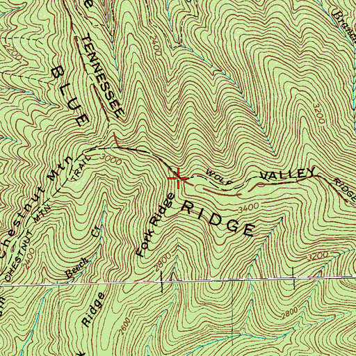 Topographic Map of Fork Ridge, TN