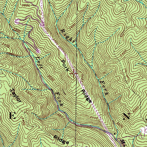 Topographic Map of Fork Ridge, TN