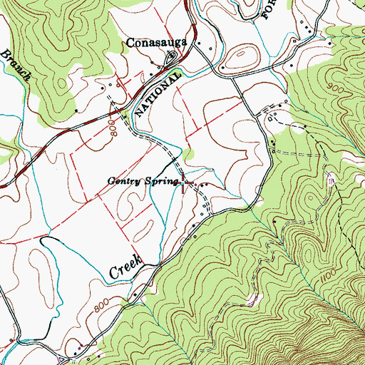 Topographic Map of Gentry Spring, TN