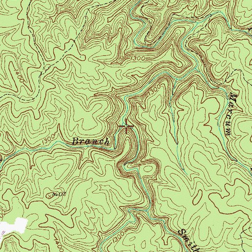 Topographic Map of George West Branch, TN