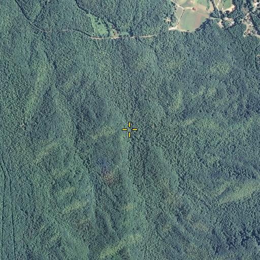 Aerial/Satellite Image of Gilliland Fork, TN