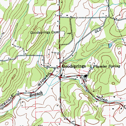 Topographic Map of Goodsprings, TN