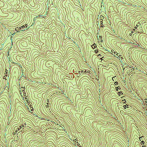 Topographic Map of Grassy Gap Trail, TN