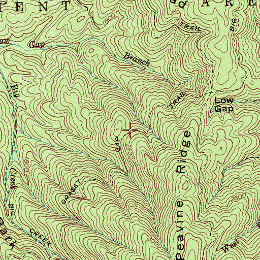 Topographic Map of Grassy Gap Trail, TN