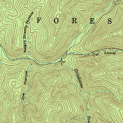 Topographic Map of Grindstone Branch, TN