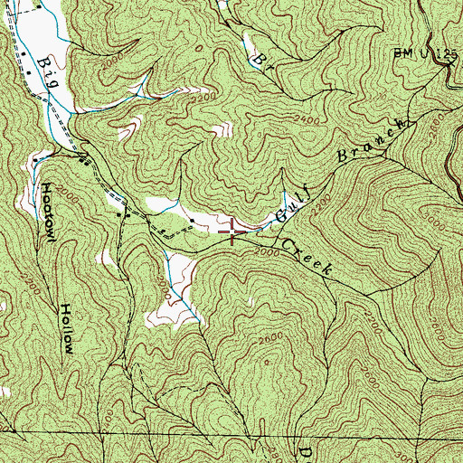 Topographic Map of Gulf Branch, TN