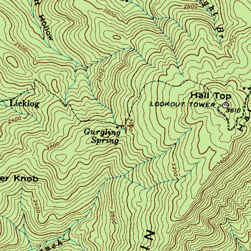 Topographic Map of Gurgling Spring, TN