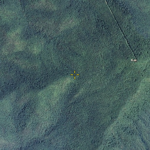 Aerial/Satellite Image of Gurgling Spring, TN