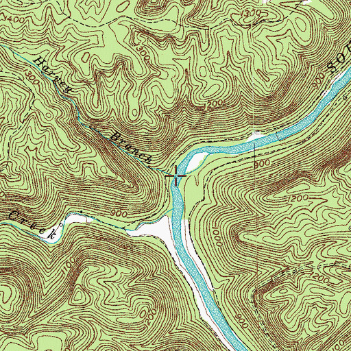 Topographic Map of Harvey Branch, TN