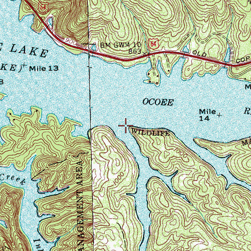 Topographic Map of Haskins Creek, TN