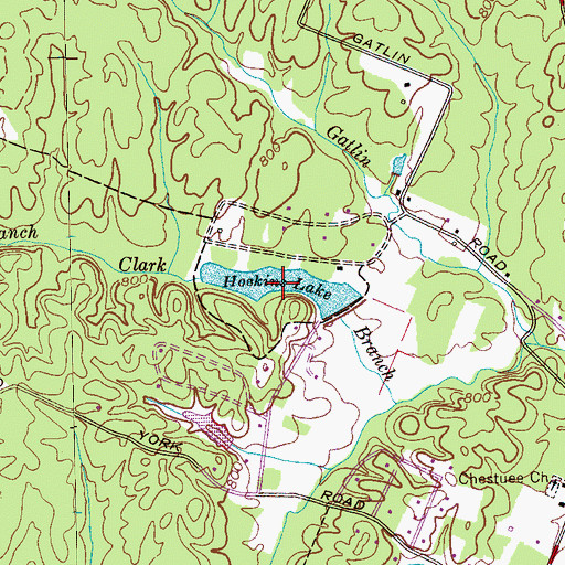 Topographic Map of Hoskins Lake, TN