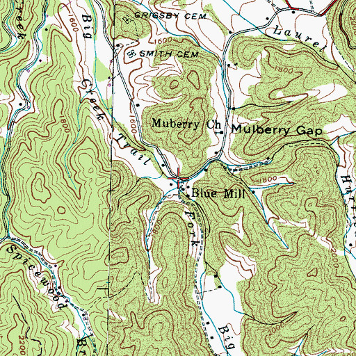 Topographic Map of Hurricane Branch, TN