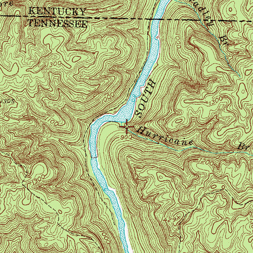 Topographic Map of Hurricane Branch, TN