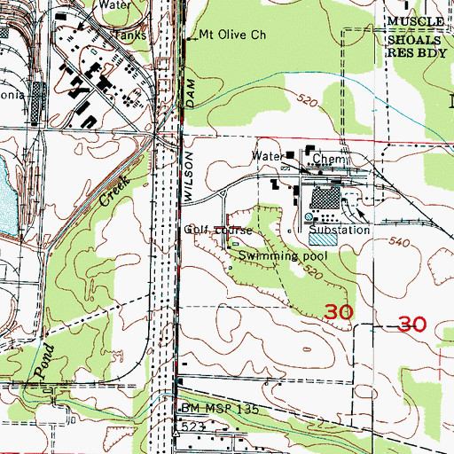 Topographic Map of Diamond Park and Golf Course, AL
