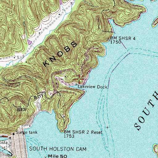 Topographic Map of Lakeview Dock, TN